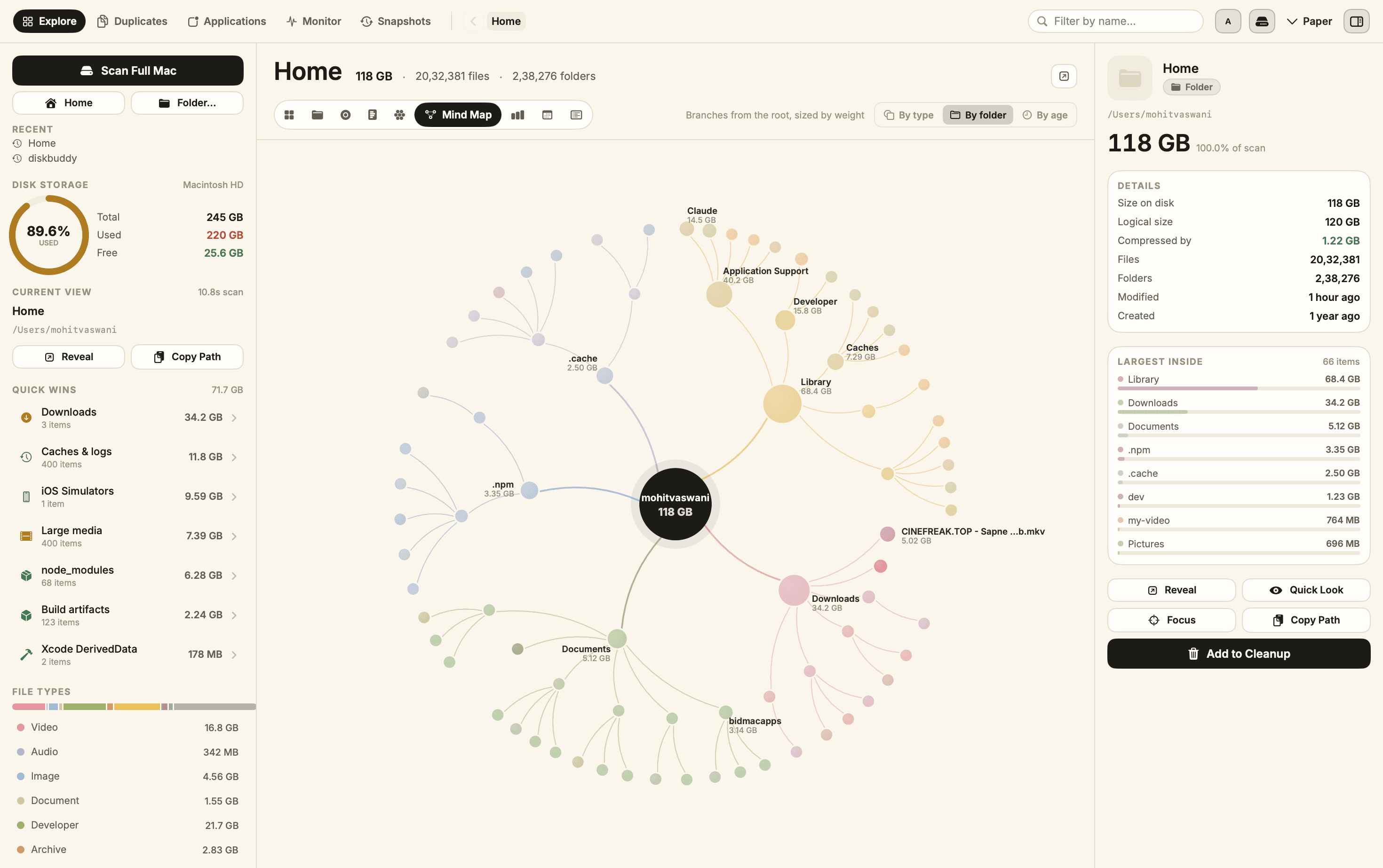 DiskBuddy mind map radiating labelled branches from a central 118 GB node.