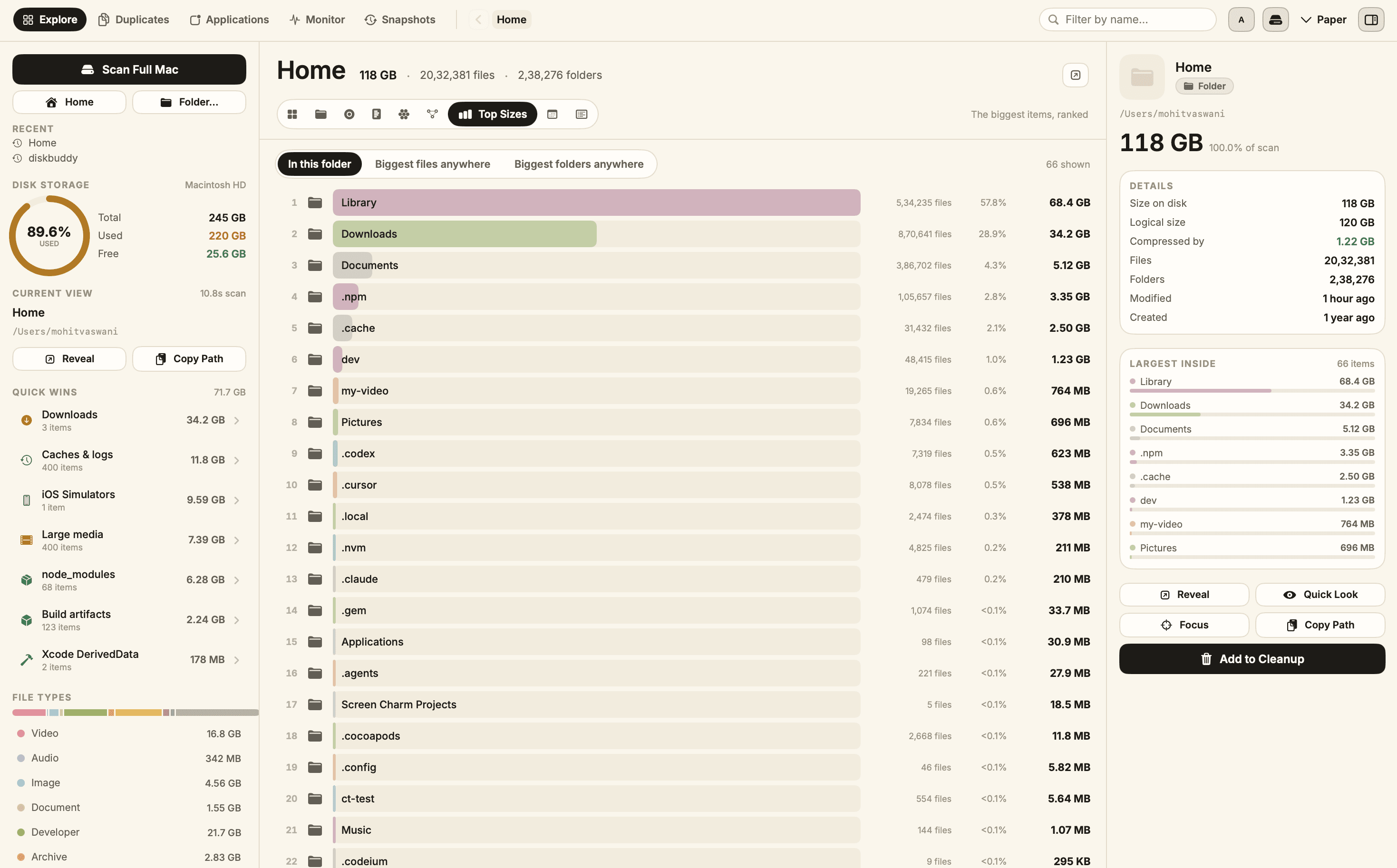 DiskBuddy ranked list of the largest folders with file counts and percentage of scan.